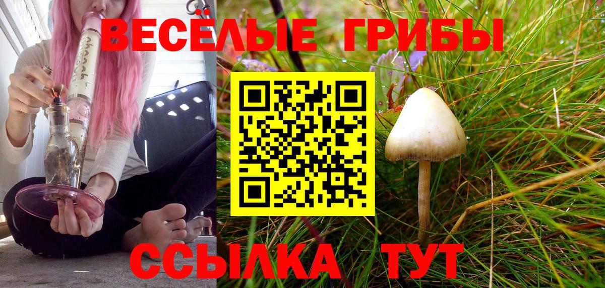 Каменск-Шахтинский  Галлюциногенные грибы прущие грибы  Вход с VPN 